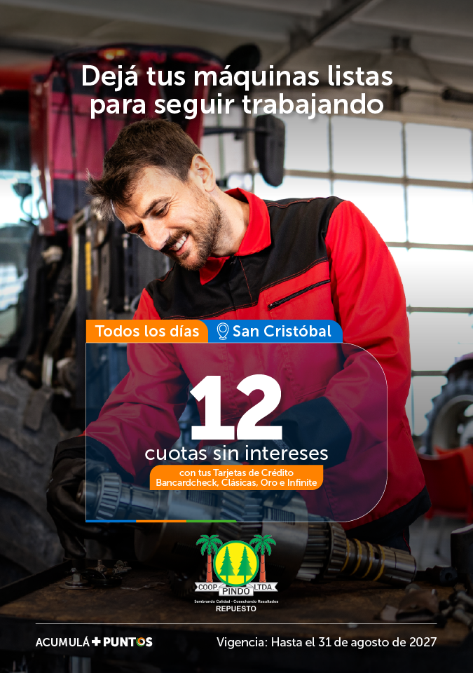 REPUESTO PINDO