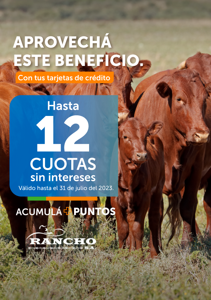 Beneficio RANCHO S.A.