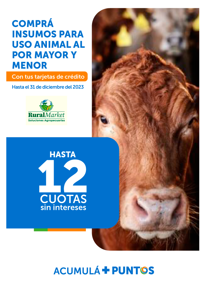 Promoción Rural Market
