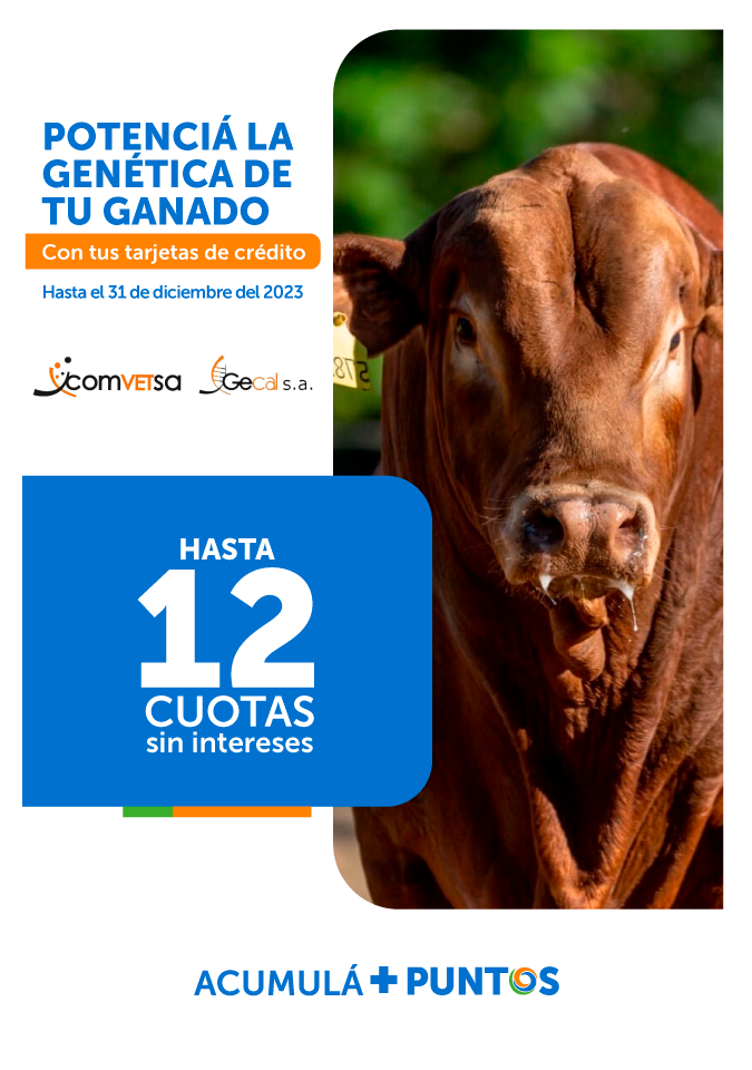 Promoción Convet y Gecal S.A