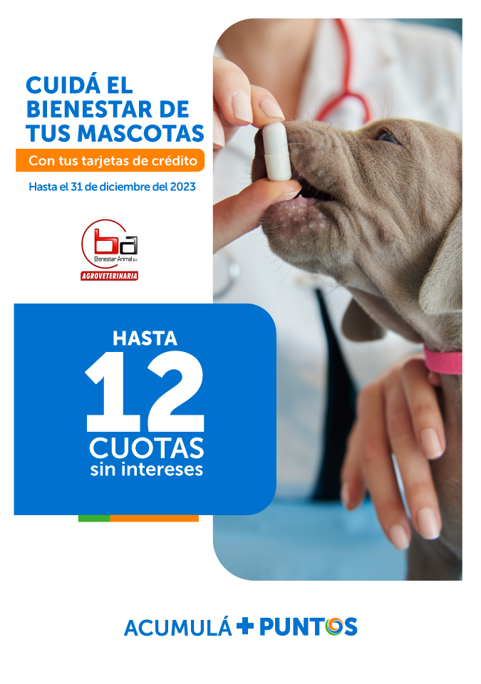 Promoción Bienestar Animal